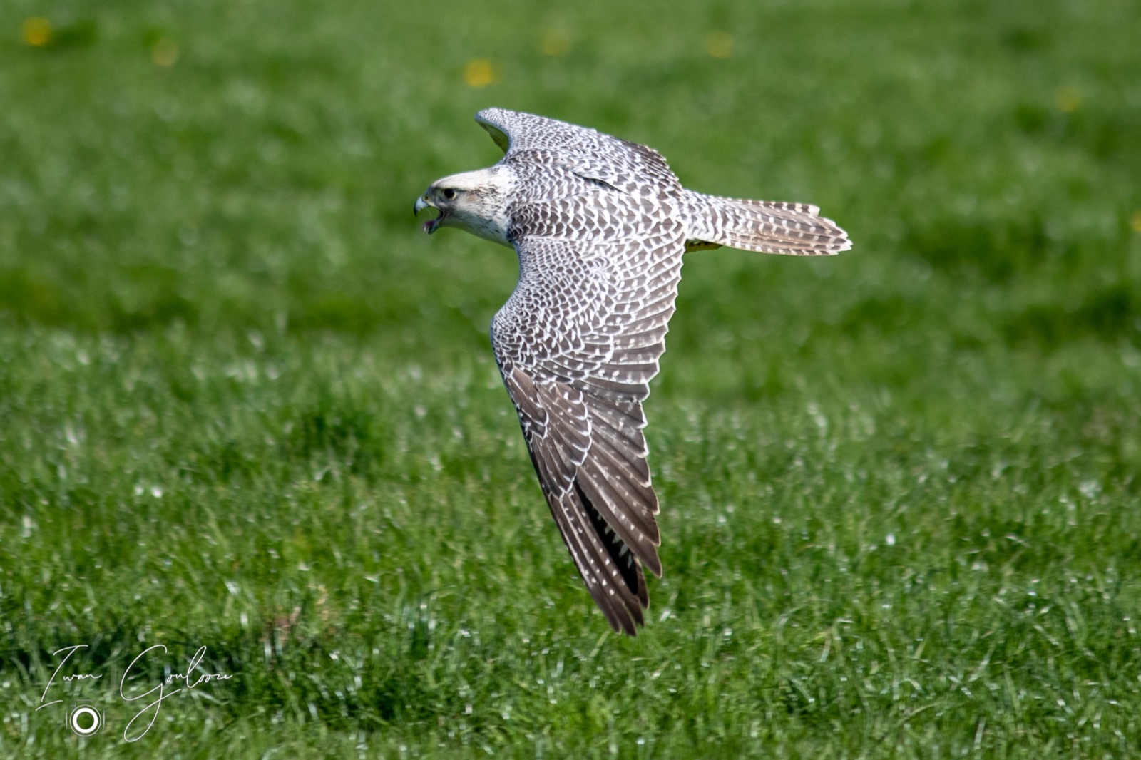 18 april 2022 102925 1DX49653